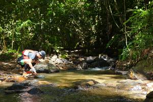 BIB: 
                            <button type="button" onclick="openModal(21853305)" class="btn btn-primary btn-sm float-right btn-popup" data-toggle="modal" data-target=".modal-high-quality">
                        <i class="fas fa-shopping-cart"></i> Add to Cart
                    </button>
                                            <button type="button" onclick="isThisMe(21853305, true)" class="btn btn-success btn-sm float-right btn-popup btn-isme hidden" data-toggle="tooltip" data-placement="bottom" title="นี่คือรูปของคุณใช่ไหม คลิกที่นี่เพื่อเอาเข้าอัลบั้ม">
                        <i class="fas fa-plus"></i> Add to album
                    </button>
                    <button type="button" onclick="isThisMe(21853305, false)" class="btn btn-warning btn-sm float-right btn-popup btn-isnotme hidden">
                        <i class="fas fa-ban"></i> Remove from album
                    </button>